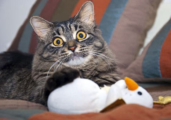 2030年F1:电动化还会远吗?,2030年电动汽车会取代燃油车吗