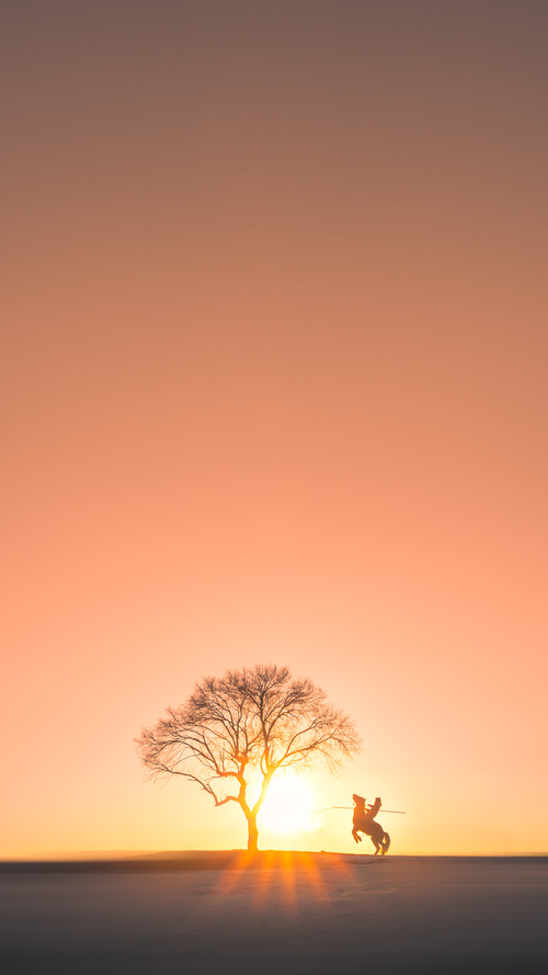 kaiyun.com-F1产业链的全球布局与发展，f1集团业务