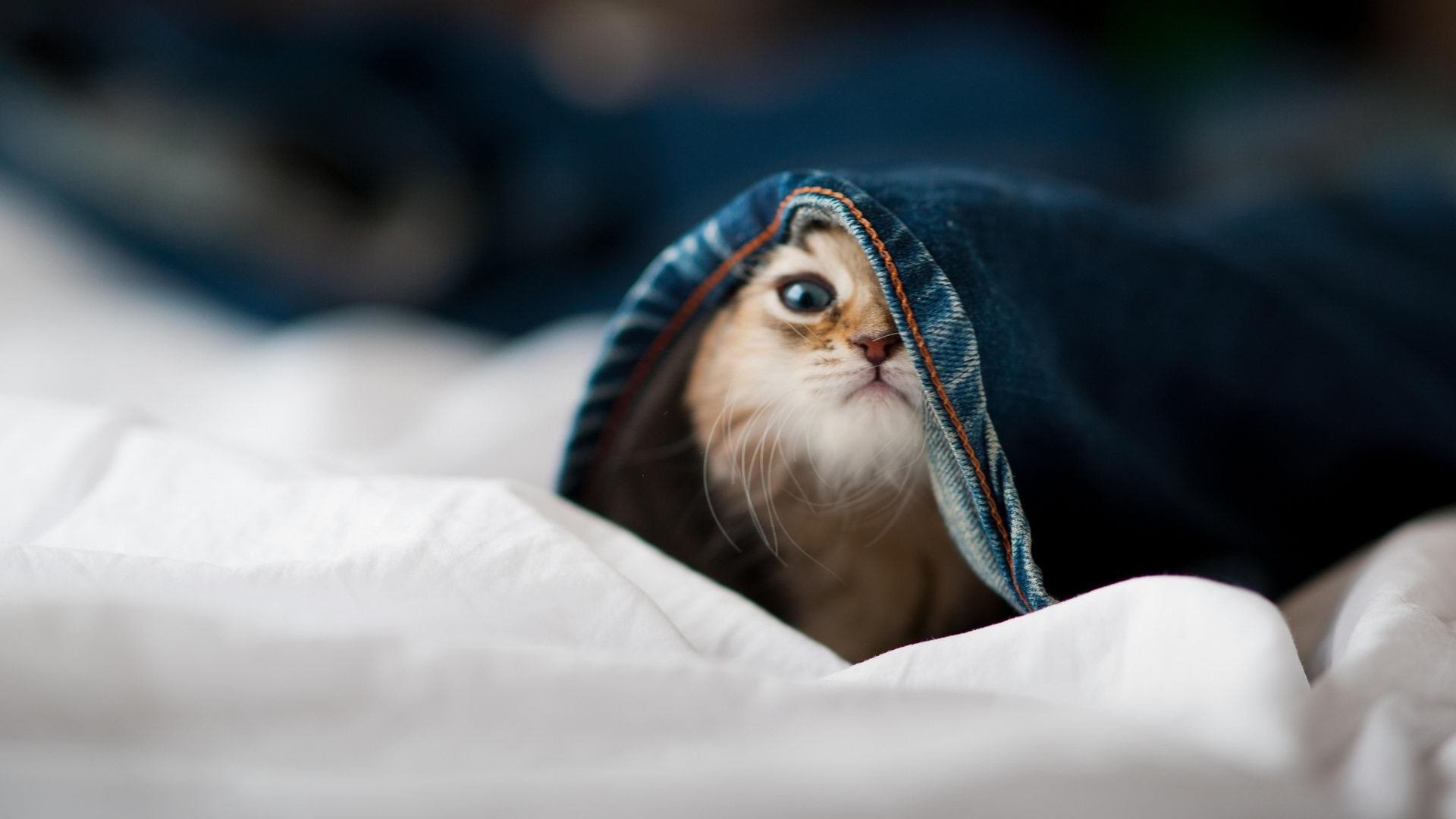 开云体育-NBA发布2026选秀规则改革方案，关注高中球员回归，nba选秀2921