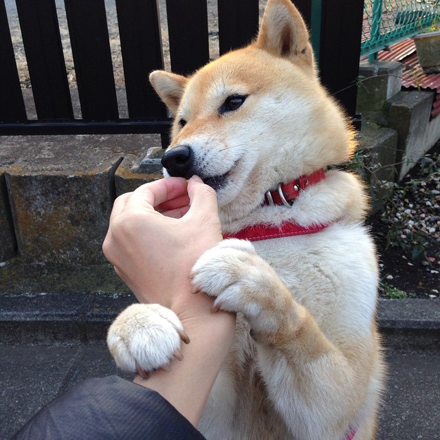 _少年运动明星选拔赛:开启梦想新航程_,少年运动综艺