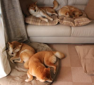 《2025年全球英雄联盟冠军赛,SKT战队以绝杀夺冠》,英雄联盟2020全球总决赛skt