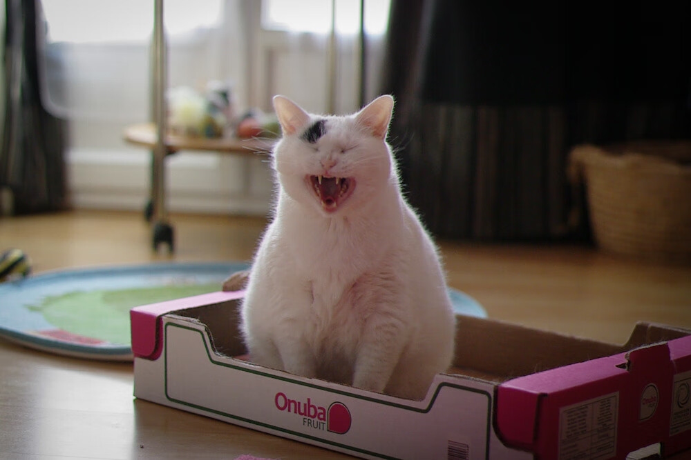 《2025年全球英雄联盟冠军赛,SKT战队以绝杀夺冠》,英雄联盟2020全球总决赛skt