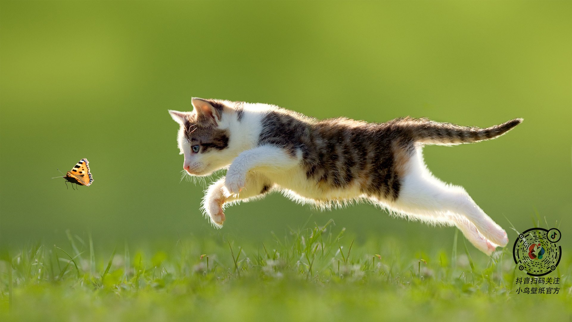 kaiyun网站-中国篮协发布最新青年培养方案，中国青年篮球协会