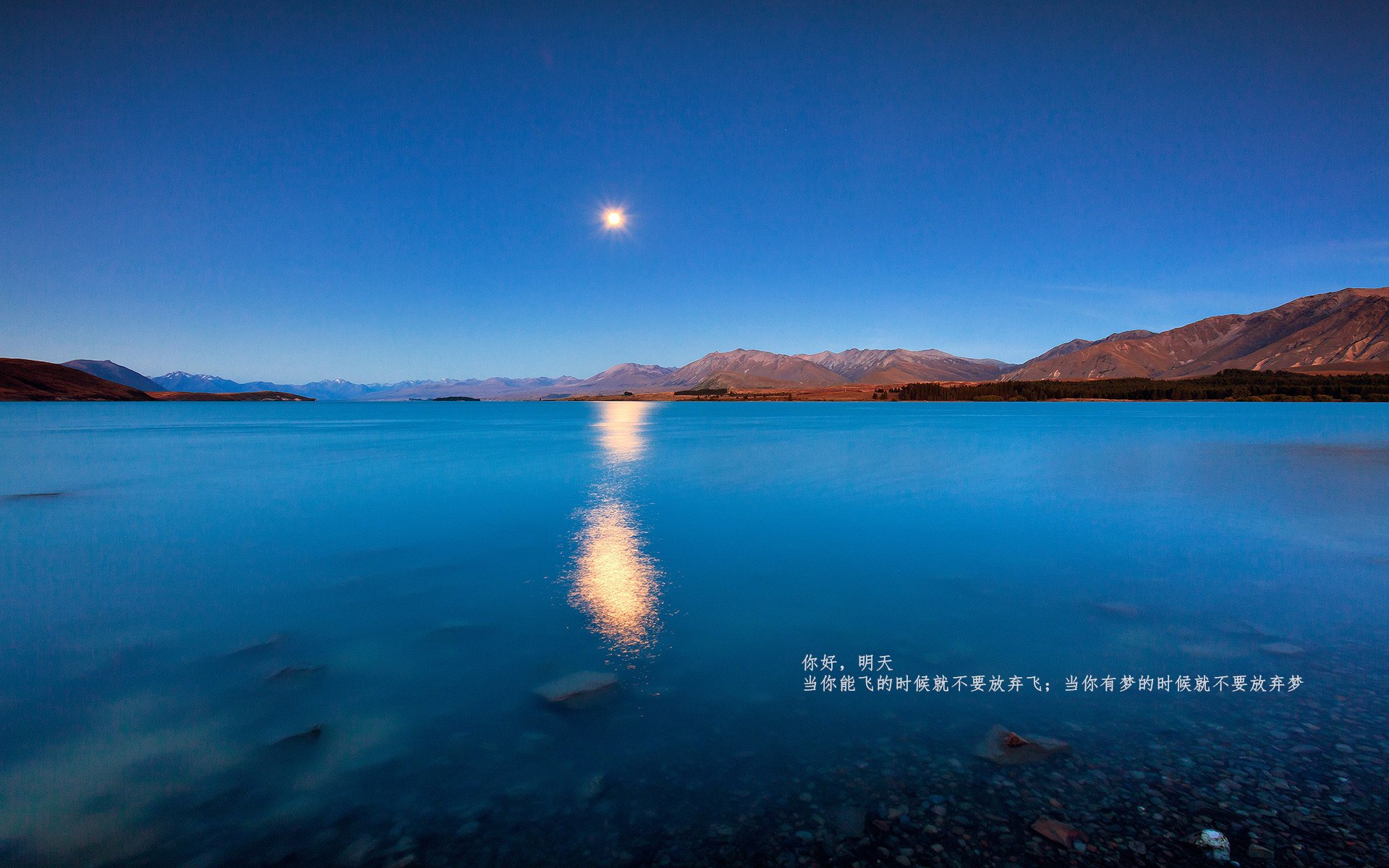 今年联盟三分球命中排行榜,谁的手感最火热?,本赛季球队三分球命中率排行榜