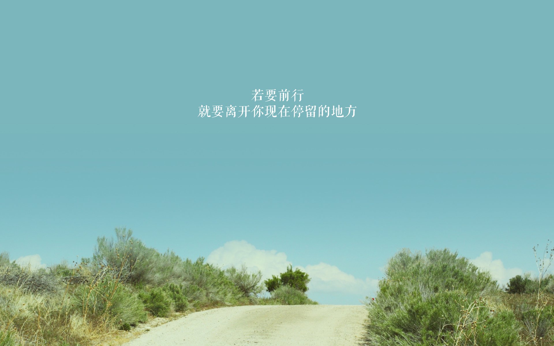 冬季越野滑雪,雪白世界的速度冒险,越野滑雪视频