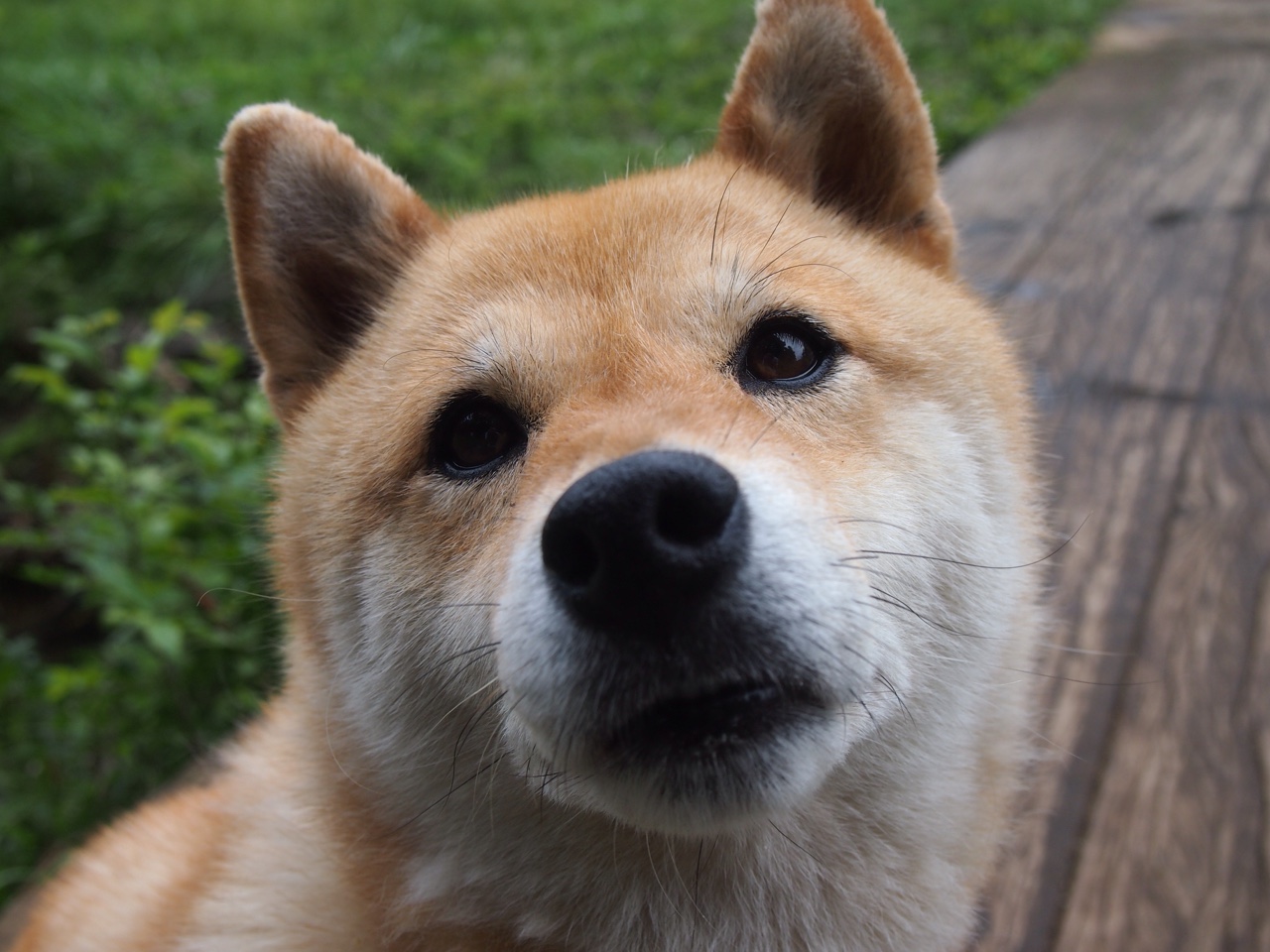 开云官网-勇士队官方YouTube粉丝突破千万，居联盟之首，勇士队友