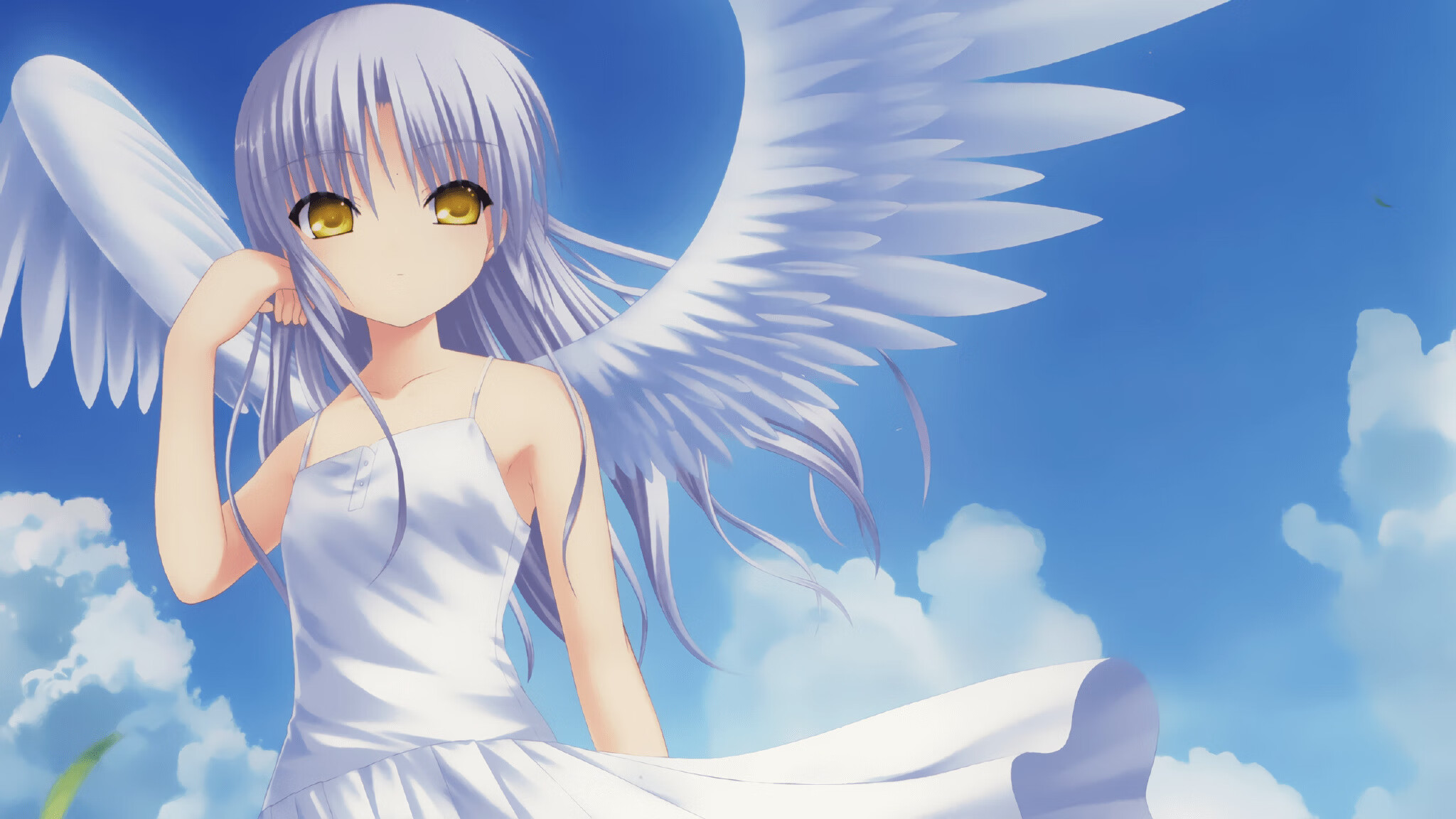 开云中国大陆-塞内加尔马术协会与兽医合作，开展马匹疾病预防与治疗研究。，塞内加尔羊图片