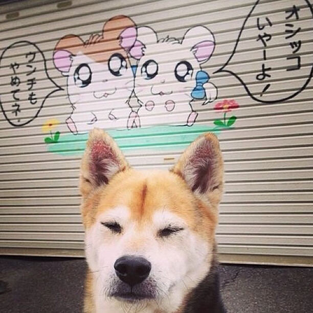 特色篮球文化品牌走向国际,展现中华体育精神,篮球文化理念