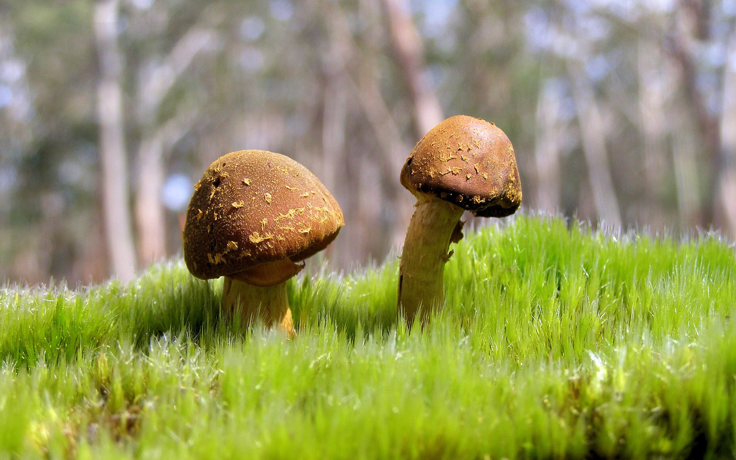 开云平台-河床防守体系日益完善，河床如何防护