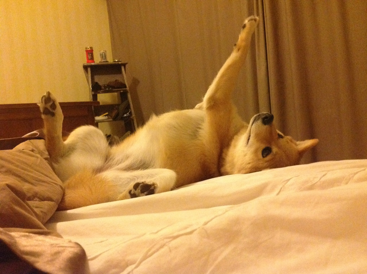 阿森纳客场对阵沃特福德,谁能赢得比赛?,阿森纳客场战胜曼联