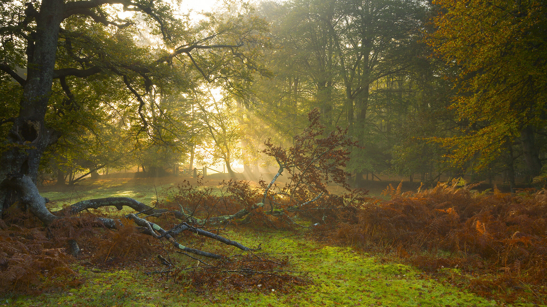 NBA球队数据分析助力战术创新研究，nba比较好的数据分析模型