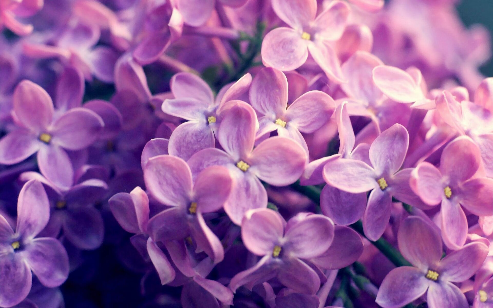 联赛中场焦点:掌握比赛主动权的关键人物,中场能力