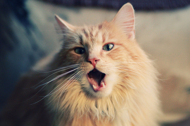 比赛回顾经典五大逆转瞬间,世界十大逆转比赛