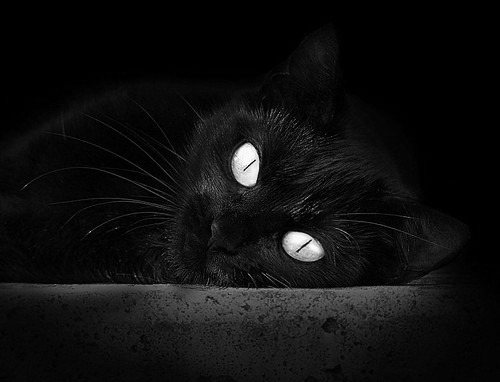 瑞典队未来的成功之路:技术细节与团队合作的双重突破,瑞典队分析