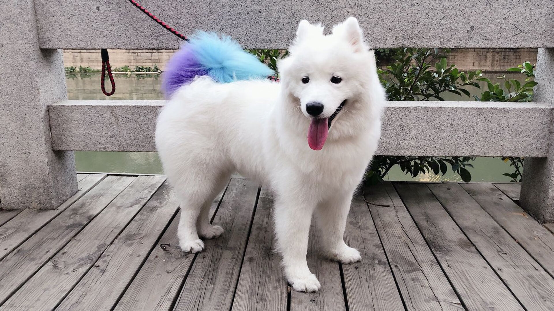 开云官方网站-赛场心理素质好，抗压能力强，你心理素质抗压能力表情包