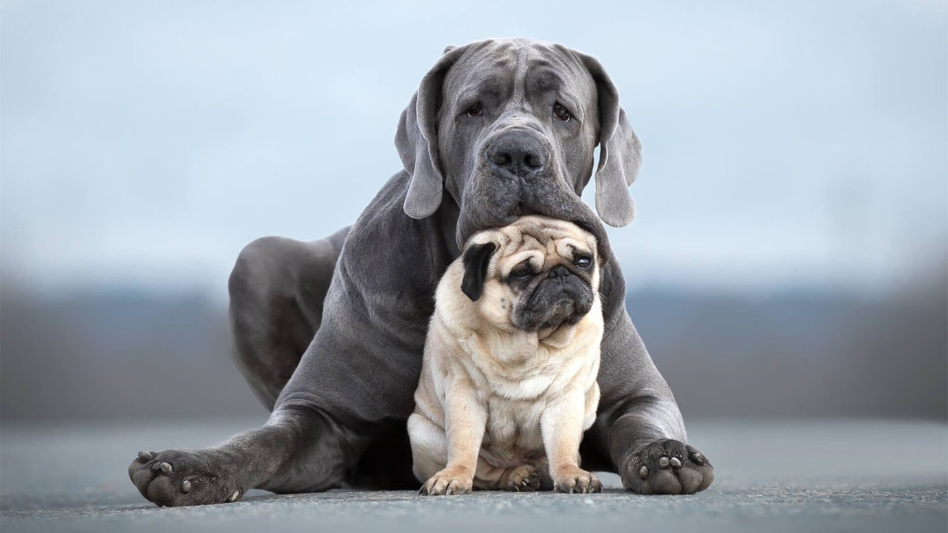 开云·体育官网-地方篮球联赛多样化举办激发地区篮球发展活力，地方篮协属于什么单位