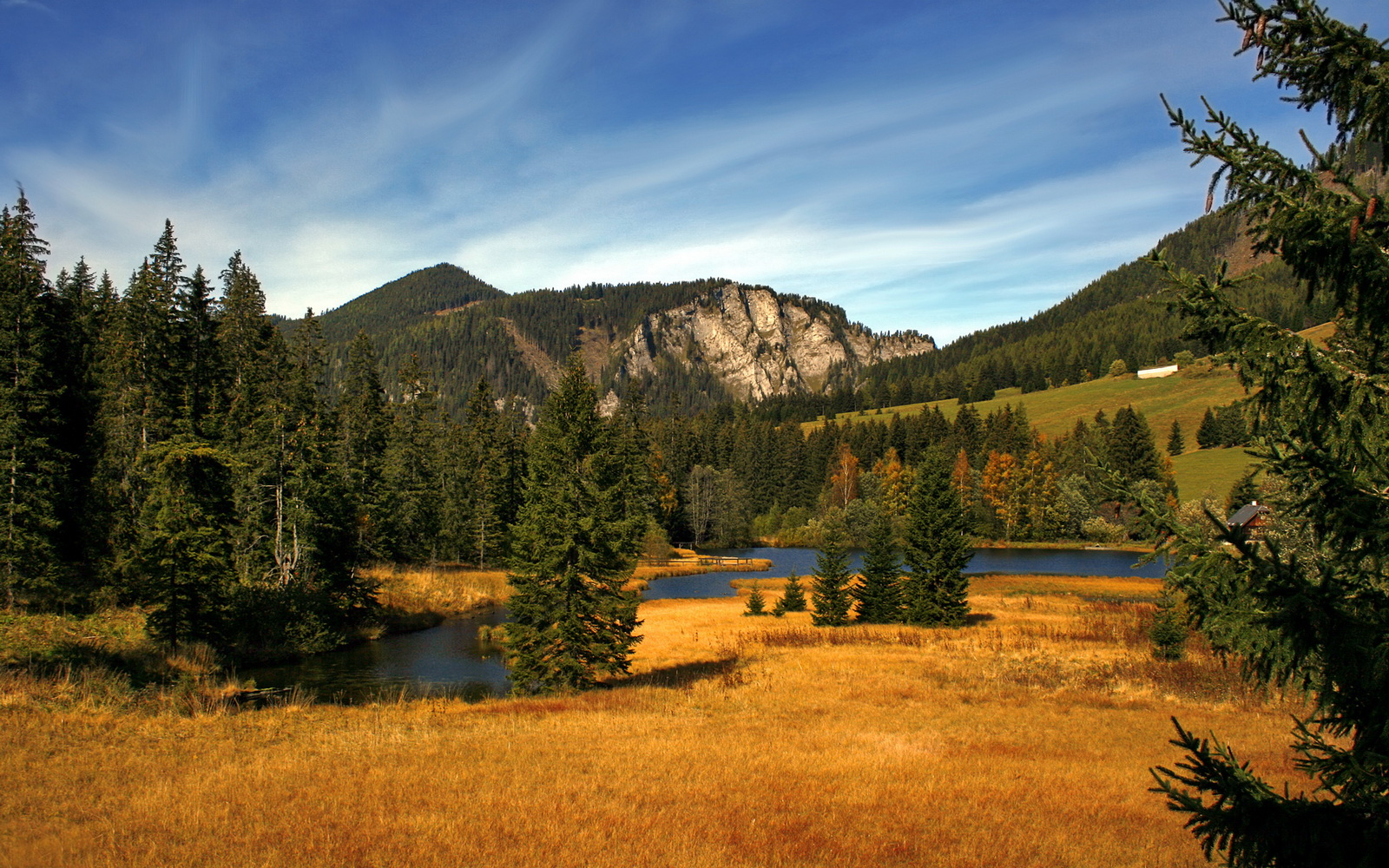 多名选手具备闯入半决赛甚至决赛能力,半决赛会遇到自己国家的吗