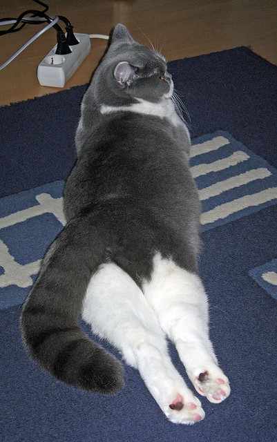 林丹推广课上亲自为小选手做热身,林丹训练视频