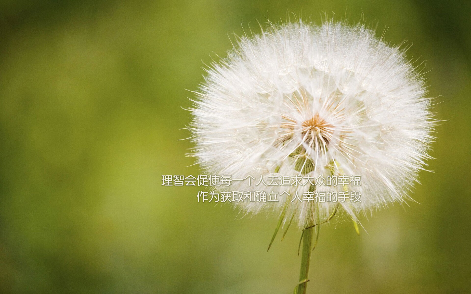 皮特·斯图斯的进攻突破为南非队创造优势,斯图尔特皮尔斯