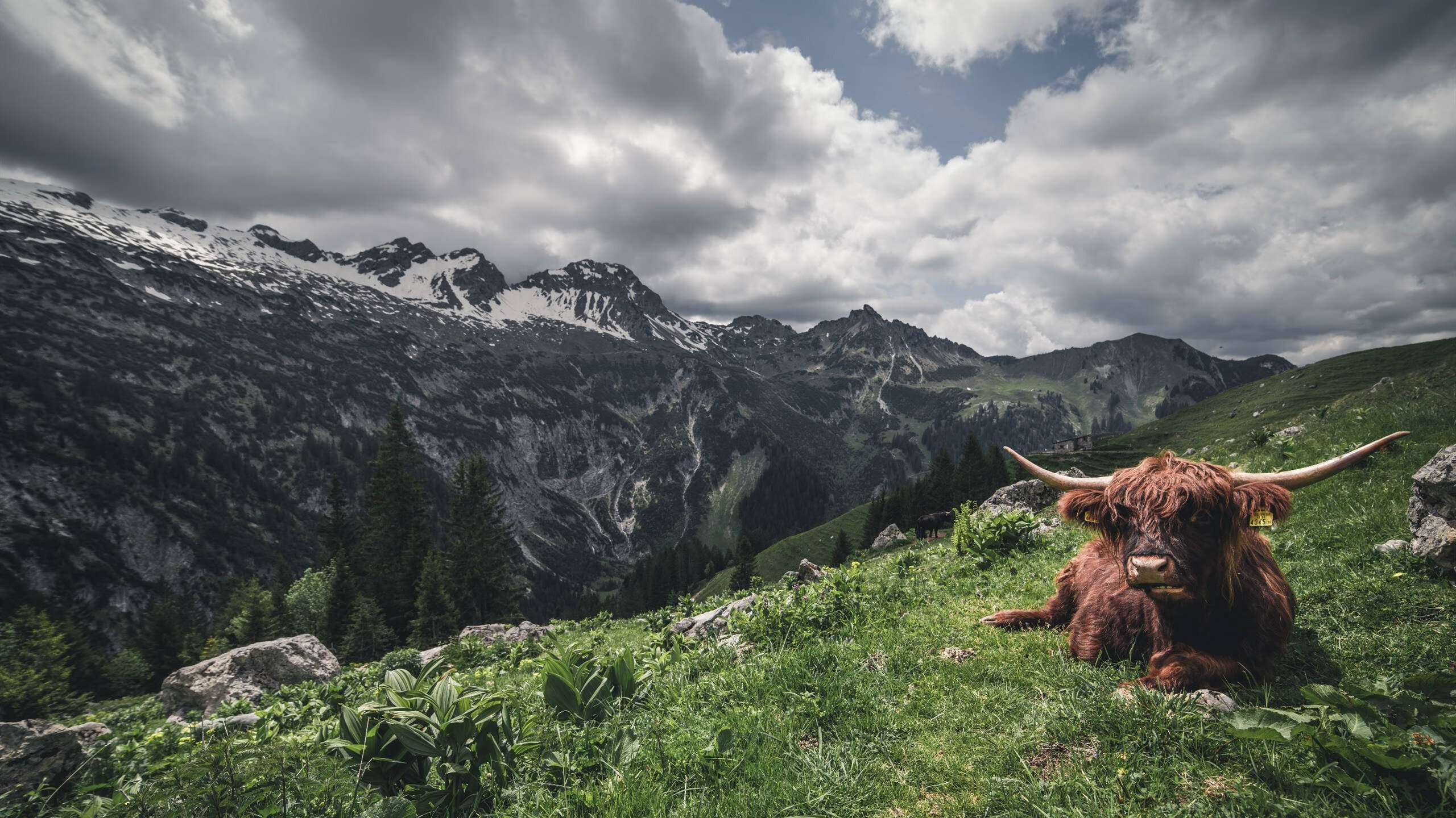 蝶泳选手划幅优化,后程爆发力增强,蝶泳划手动作