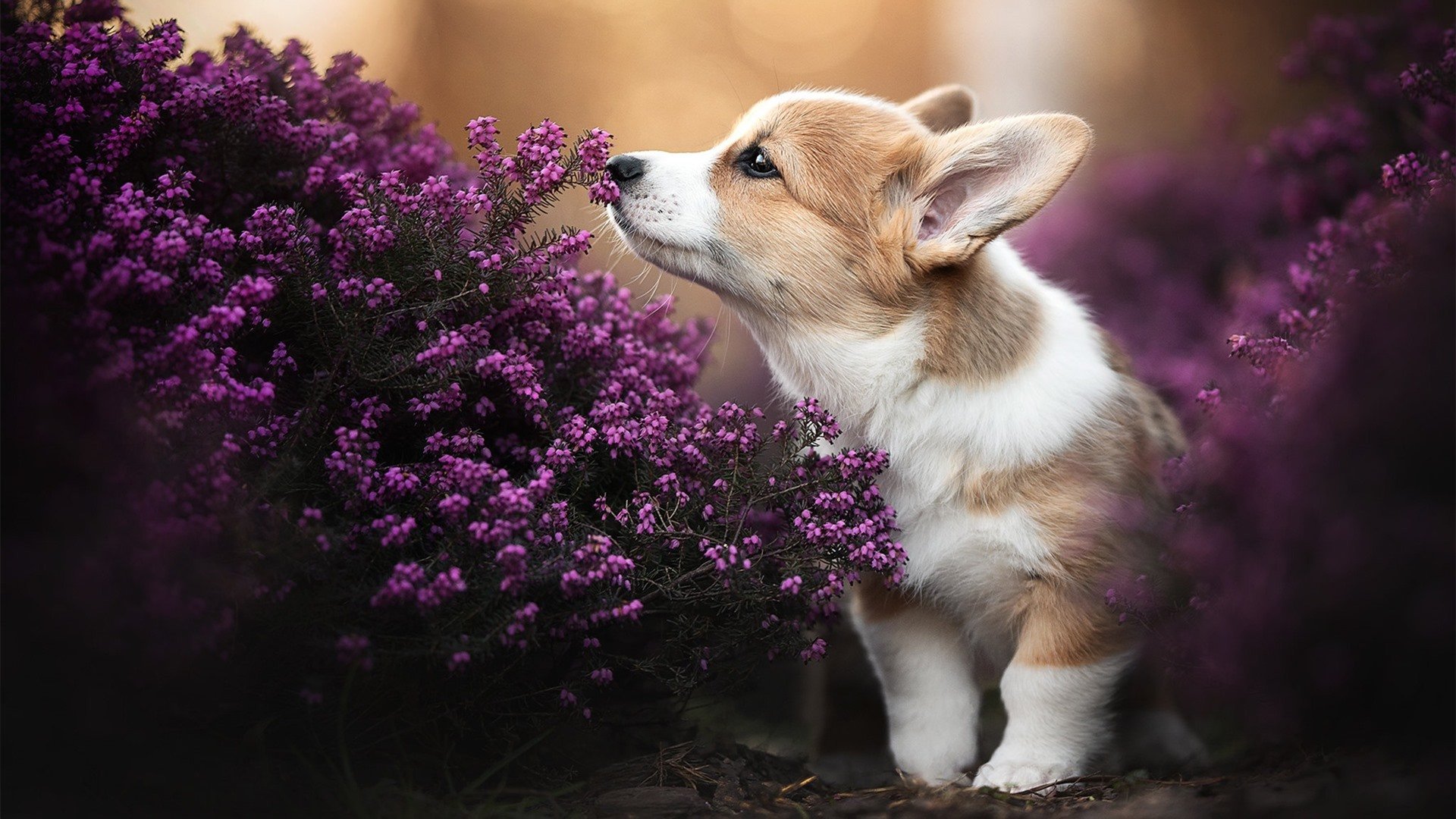 陈佳突破自我刷新纪录,陈佳成绩